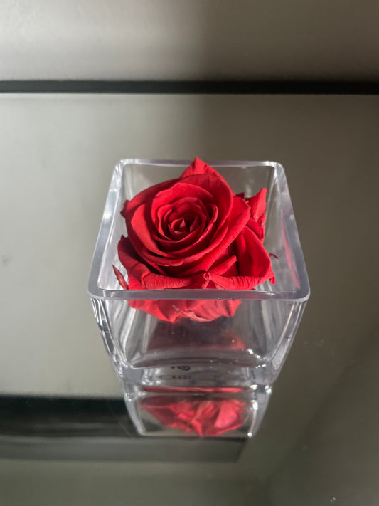 Yearlong Blossom Rose - Single Rose with Vase